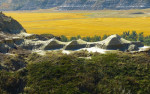 De badlands: slechte grond, maar ook velden vol canola